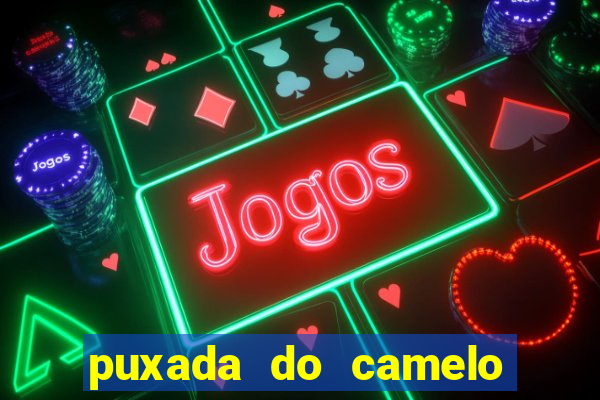 puxada do camelo no jogo do bicho